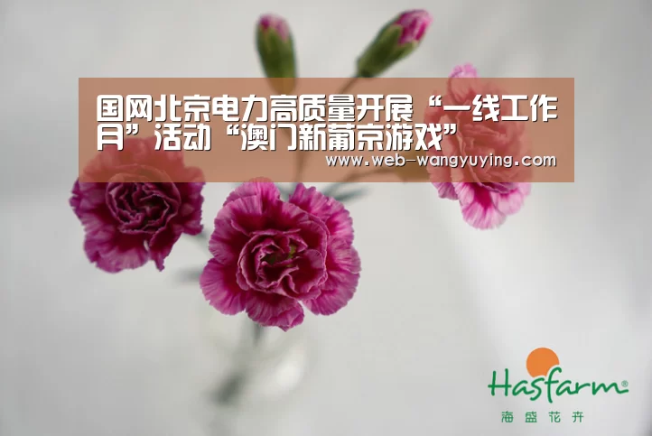 国网北京电力高质量开展“一线工作月”活动“澳门新葡京游戏”(图1) 澳门新葡京游戏