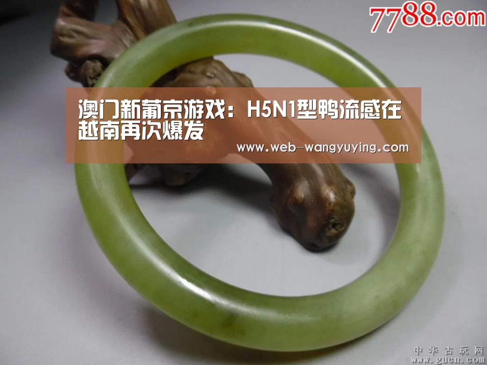 澳门新葡京游戏:H5N1型鸭流感在越南再次爆发(图1) 新葡京娱乐官网