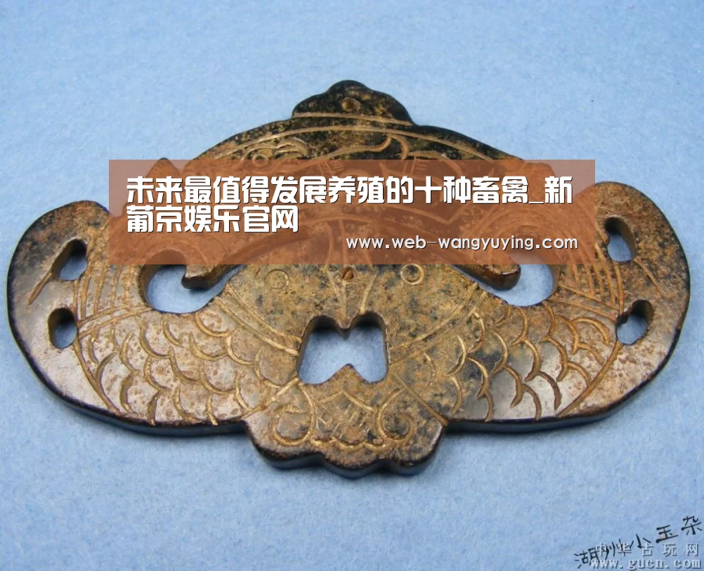 未来最值得发展养殖的十种畜禽_新葡京娱乐官网(图1) 新葡京娱乐官网