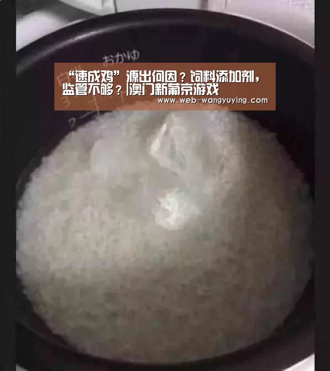 澳门新葡京游戏