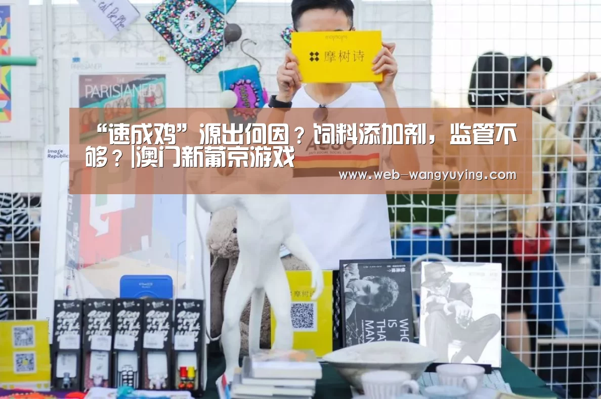 澳门新葡京游戏