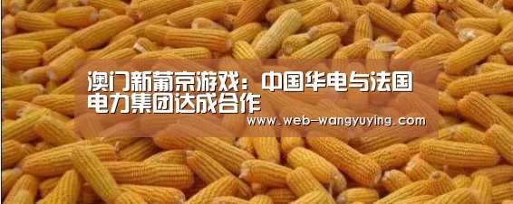 澳门新葡京游戏:中国华电与法国电力集团达成合作(图2) 新葡京娱乐官网